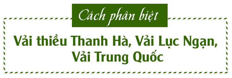 Cách phân biệt vải thiều Thanh Hà, vải Lục Ngạn và vải Trung Quốc