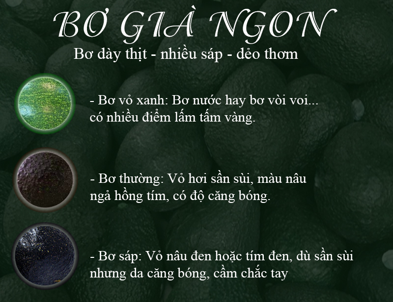 Bơ có lấm tấm sao nhiều, vỏ sần nhưng bóng có nhiều sáp - ngon