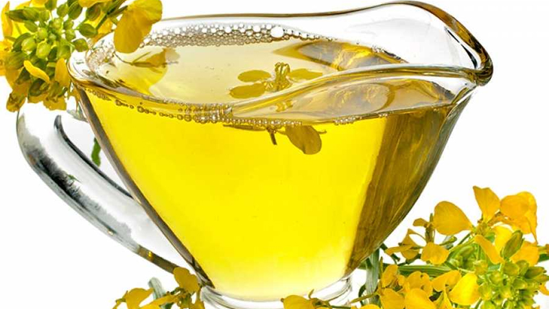 Dầu hạt cải chứa nhiều lợi ích cho sức khỏe Dầu hạt cải chứa nhiều lợi ích cho sức khỏe