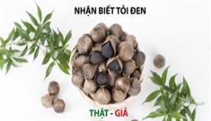 Bí kíp nhận biết tỏi đen Lý Sơn thật và giả