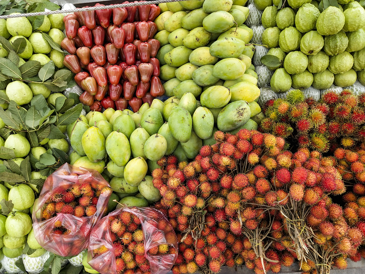 Đánh giá camera Vivo X21 UD Đánh giá camera Vivo X21 UD