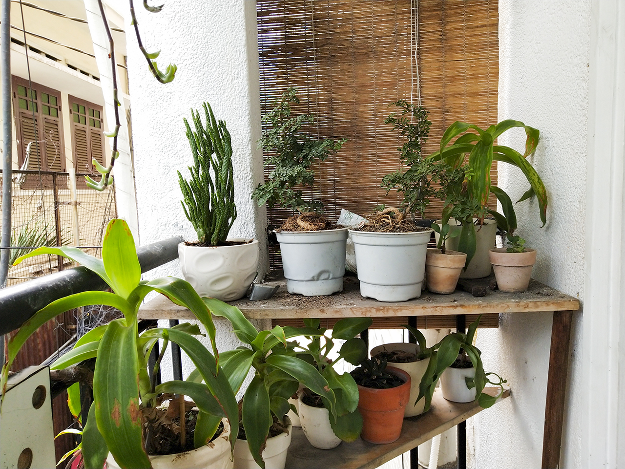 Đánh giá camera Vivo X21 Đánh giá camera Vivo X21