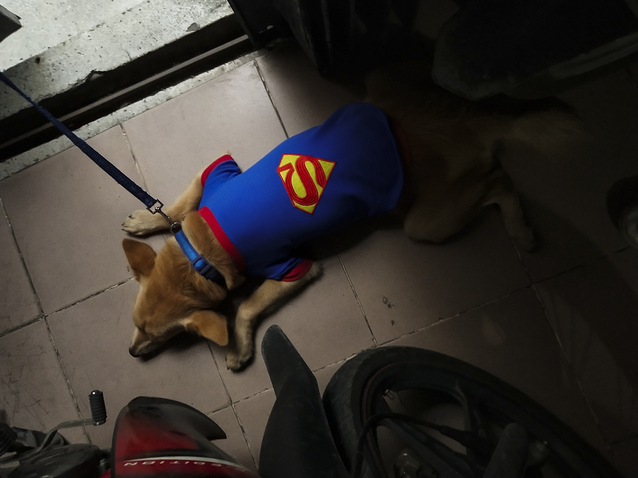 Đánh giá camera Vivo X21 UD Đánh giá camera Vivo X21 UD