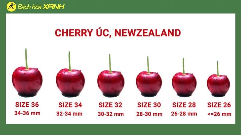 Cách tính Size Cherry Úc và New Zealand