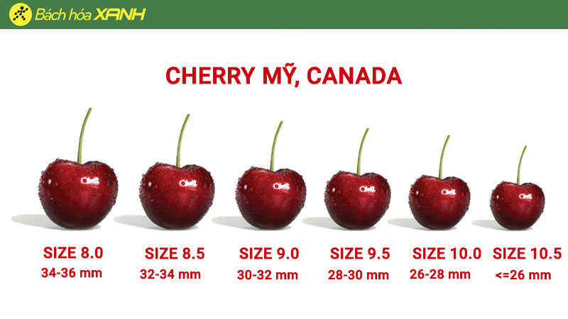 Cách tính size cherry Mỹ và Canada