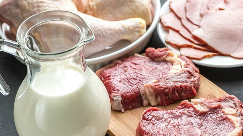 Kết hợp sữa với các dạng protein khác như thịt chắc chắn sẽ khiến cơ quan tiêu hóa mất nhiều thời gian để làm việc