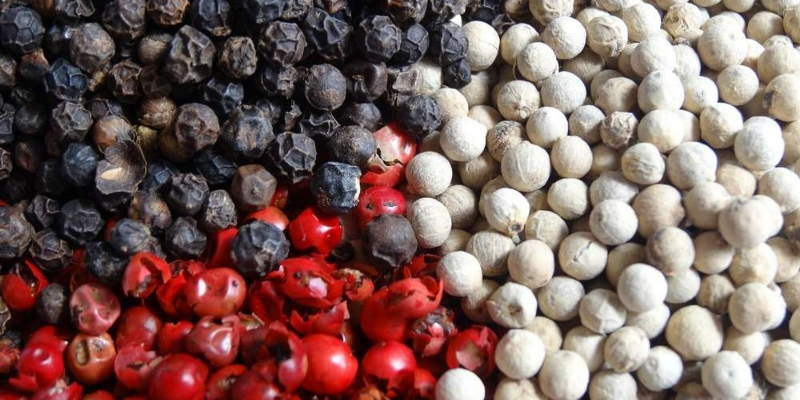 Chỉ nêm tiêu sau khi đã nấu chín thực phẩm Chỉ nêm tiêu sau khi đã nấu chín thực phẩm