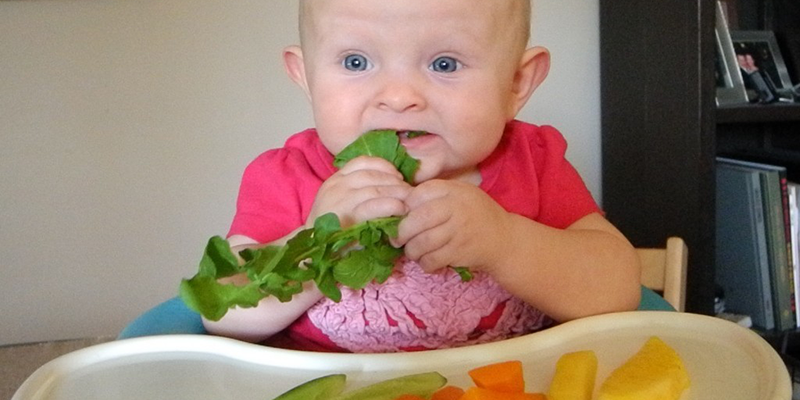 khi bé ngồi ăn cùng gai đình, mẹ có thể cho bé tập ăn dần rau bằng cách cho bé nhai rau nguyên cộng, lưu ý là rau đã được luộc chín nhé.
