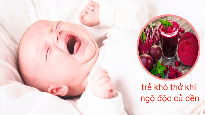 Ngộ độc củ dền ở trẻ