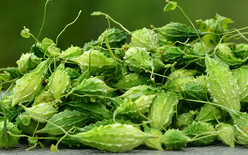 Mướp đắng: chứa phyto, nhiều loại vitamin, khoáng chất... giúp cơ thể phục hồi sau thai nghén, tiêu chảy, tiêu chảy, rối loạn giấc ngủ, táo bón và các vấn đề hô hấp. Loại quả này cũng làm sạch hệ máu từ bên trong và cho làn da sáng tự nhiên. Mướp đắng: chứa phyto, nhiều loại vitamin, khoáng chất... giúp cơ thể phục hồi sau thai nghén, tiêu chảy, tiêu chảy, rối loạn giấc ngủ, táo bón và các vấn đề hô hấp. Loại quả này cũng làm sạch hệ máu từ bên trong và cho làn da sáng tự nhiên.