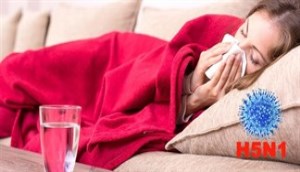 Cúm gia cầm AH5N1 có lây trực tiếp từ người sang người không?