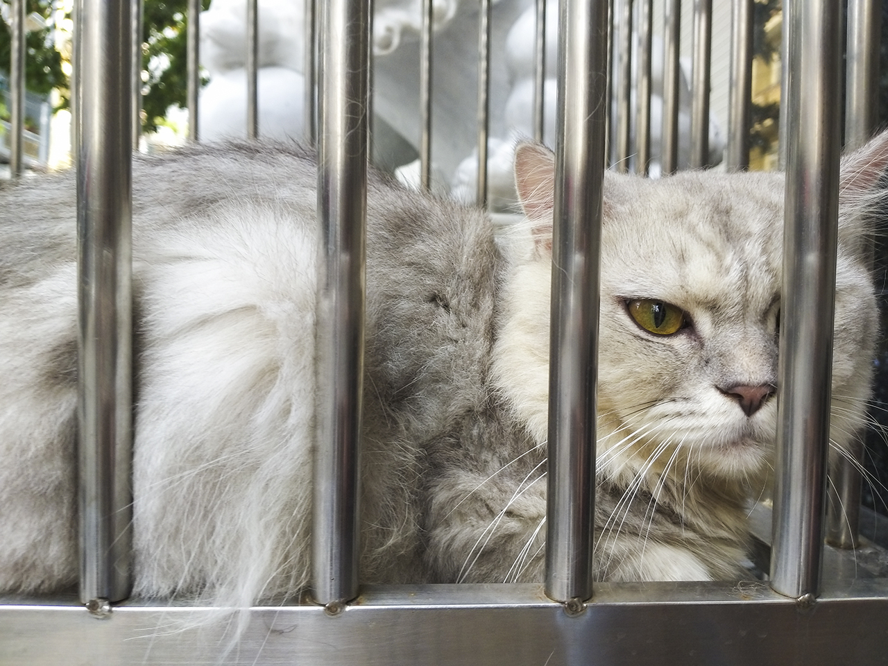 Đánh giá camera Galaxy A8 star