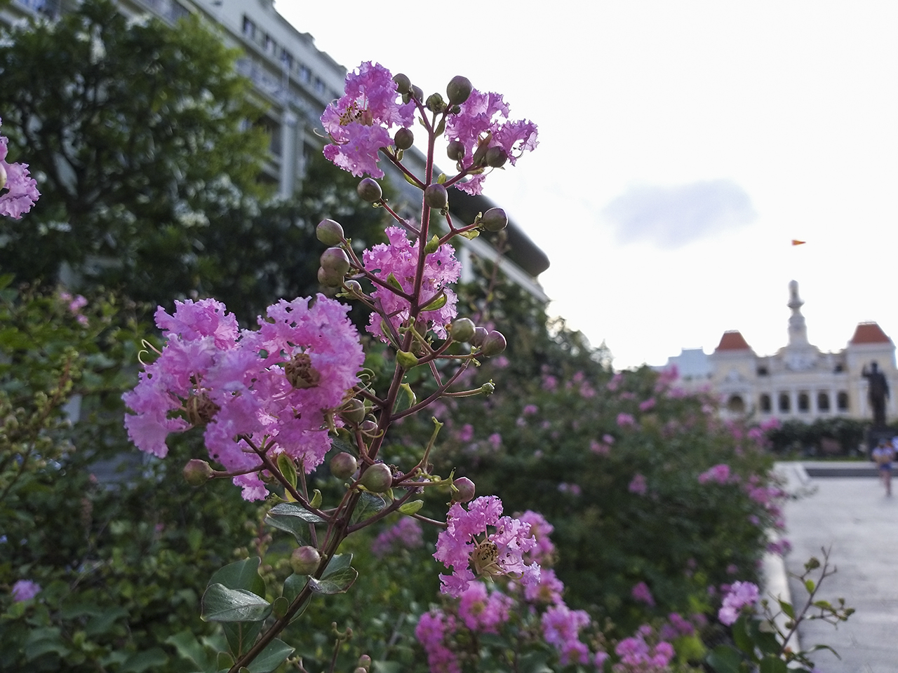 Đánh giá camera Galaxy A8 Star