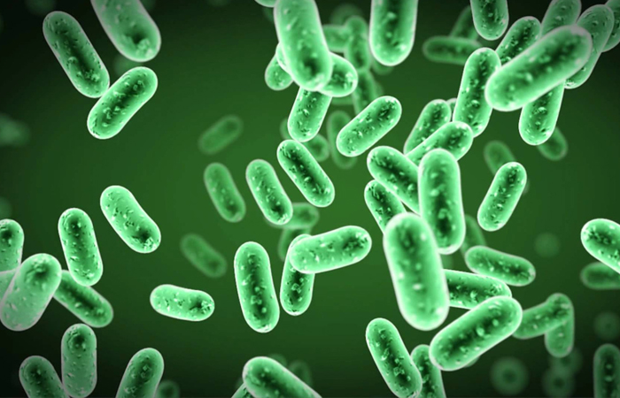 Probiotic là gì? Lợi ích và các thực phẩm giàu probiotic Probiotic là gì?