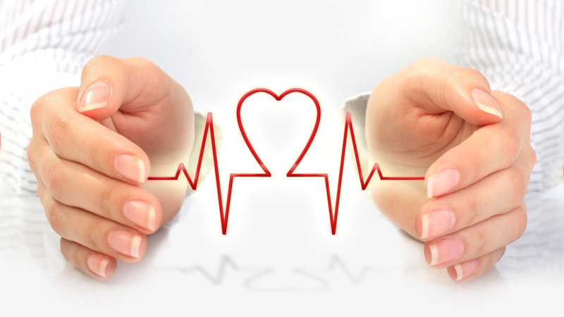 Dưa leo giúp hỗ trợ sức khỏe tim mạch tốt hơn