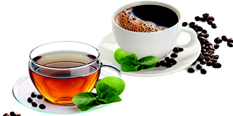 Hàm lượng caffeine trong trà xanh và cà phê, loại nào cao hơn?