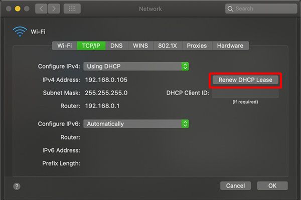 Ở mục IPv4 Address hãy nhấn Renew DHCP Lease để lấy một địa chỉ IP mới và chọn OK.