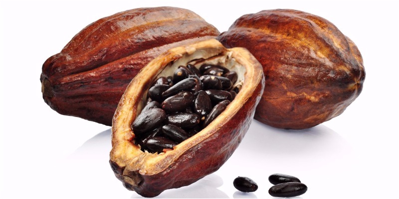 Hạt cacao có tính chất vật lý và hóa học khá phức tạp