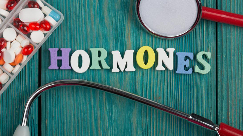 Súp lơ giúp cân bằng hormone