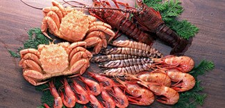 Đo lượng canxi có trong tôm, cua, ốc