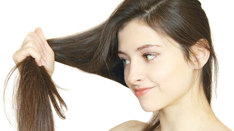 Nụ tầm xuân chứa đến 80% các axit béo (oleic, linoleic), chúng đóng vai trò như protein cung cấp độ ẩm cho tóc, cải thiện những ngọn tóc hư tổn, khô xơ, chẻ ngọn