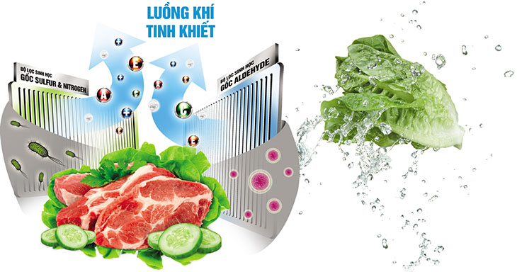 Công nghệ khử mùi Hybrid Bio