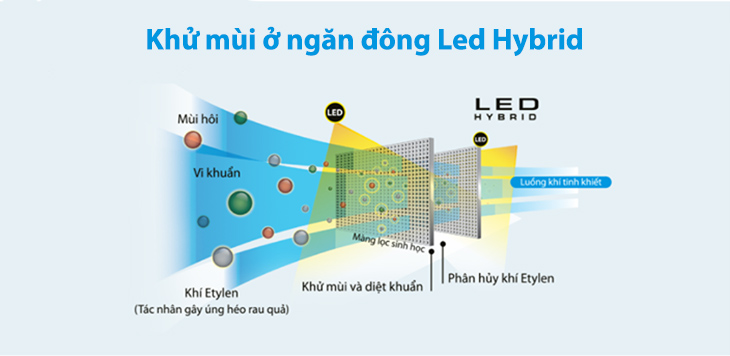 Khử mùi ở ngăn đông Led Hybrid 