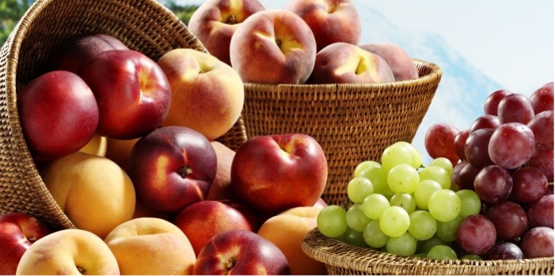 Người thường nên ăn 450g - 800g trái cây/ ngày nên ăn vào buổi sáng hạn chế ăn sau bữa ăn