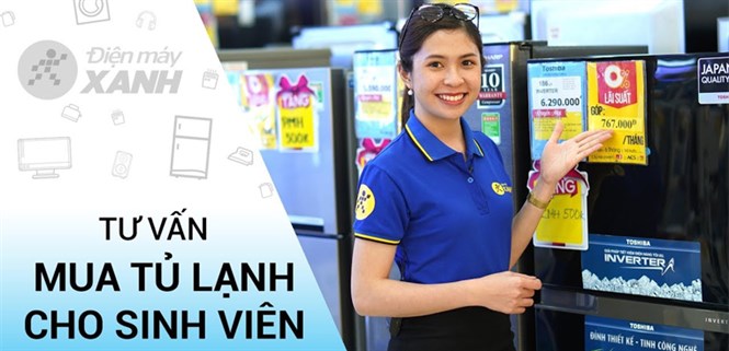 Cách chọn tủ lạnh mini giá rẻ, chất lượng cho sinh viên, người ở trọ