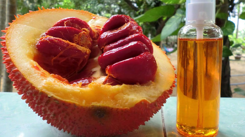Gac oil is a type of oil extracted from gac fruit