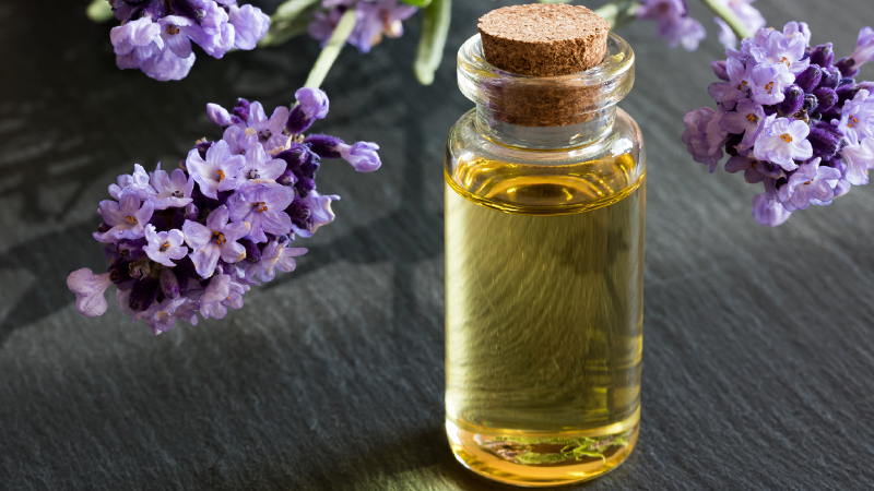 Tinh dầu hoa oải hương hỗ trợ bạn khử mùi cơ thể rất tốt