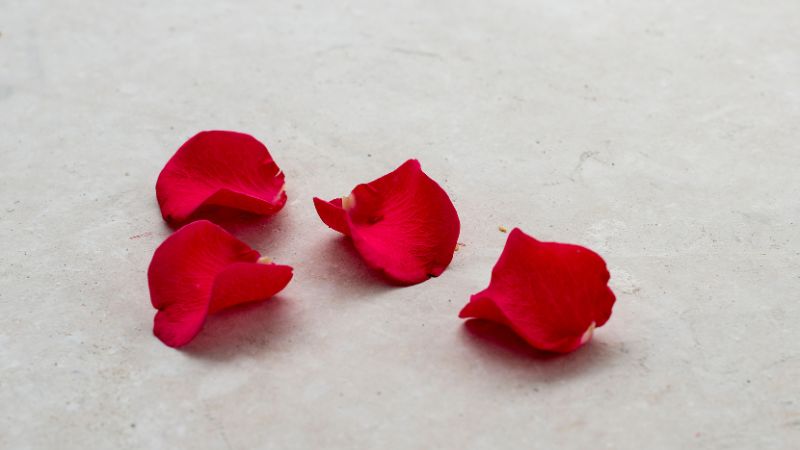 Cách làm nước tẩy trang tại nhà bằng cánh hoa hồng