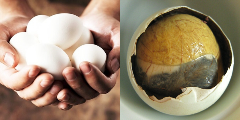 Mẹ nên cho trứng vịt lộn vào bữa ăn chính hoặc bữa ăn nhẹ vào giữa buổi sáng. Mẹ nên cho trứng vịt lộn vào bữa ăn chính hoặc bữa ăn nhẹ vào giữa buổi sáng.