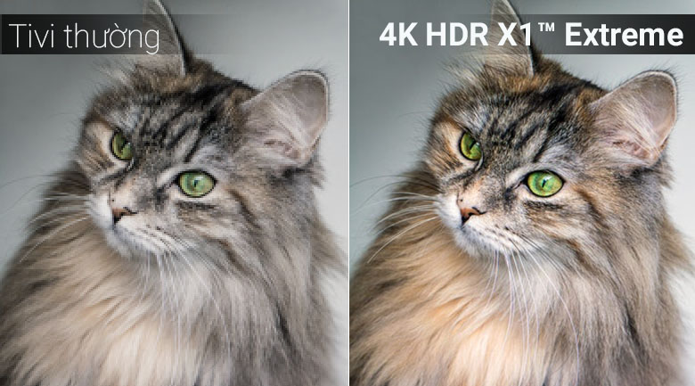 Chip xử lý 4K HDR X1™ Extreme trên tivi Sony 2018