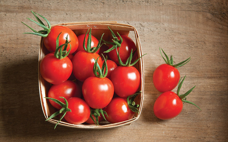 Cà chua giàu protein, chất béo, muối, niacin, vitamin C, vitamin B1, vitamin B2 và caroten, có tác dụng điều hòa chức năng gan và đào thải độc tố ra khỏi cơ thể.
