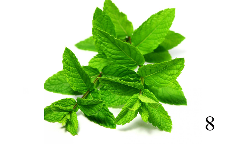 Húng lủi băm nhỏ