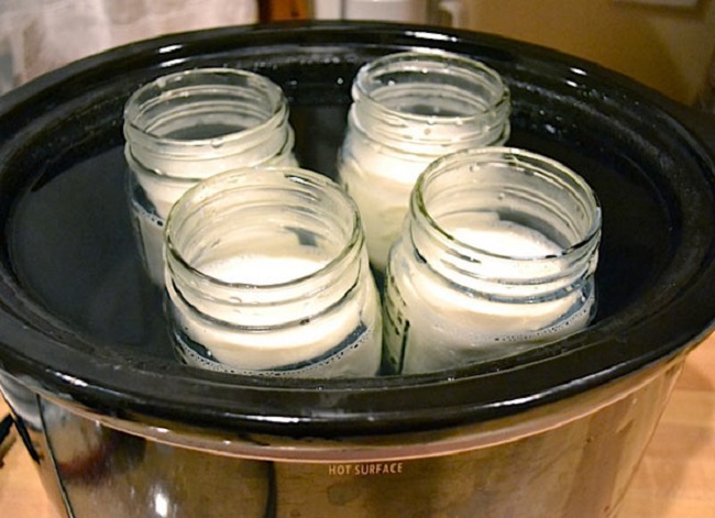 Cách ủ sữa chua đúng điệu bằng nồi lẩu điện