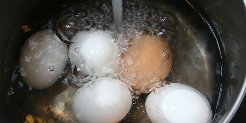 Luộc trứng bằng lò vi sóng vẫn giữ nguyên vỏ trứng