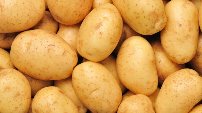 Những công dụng diệu kì của khoai tây đối với sức khỏe