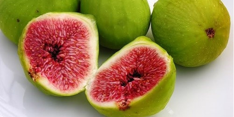 Quả sung rất giàu pectin, có công dụng cuốn theo cặn bã, nhuận tràng và ngừa một số bệnh ung thư ở bụng, ruột kết