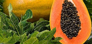 Công dụng bất ngờ của hạt đu đủ mà bạn nên biết