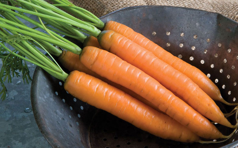 Cà rốt rất giàu vitamin A