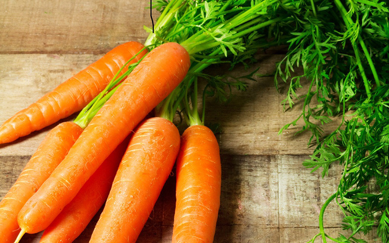 Cà rốt là một trong những thực phẩm hàng đầu trong việc đào thải độc tố khỏi cơ thể. Cà rốt không chỉ có khả năng giải độc mà còn có thể làm sạch hoàn toàn gan, giúp tăng cường chức năng gan.