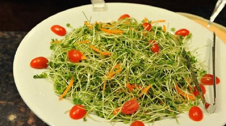 Salad rau mầm