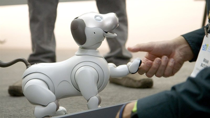robot Robot
