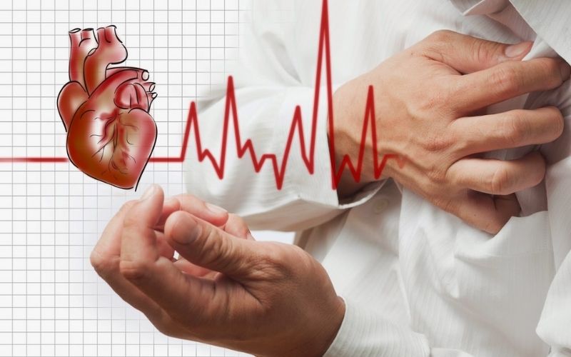 Ăn quá nhiều bánh Trung Thu dễ gây bệnh tim mạch và bệnh thận