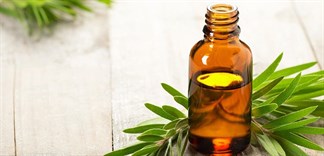 Hiểu đúng và đủ về công dụng của dầu tràm đối với sức khỏe mẹ và bé