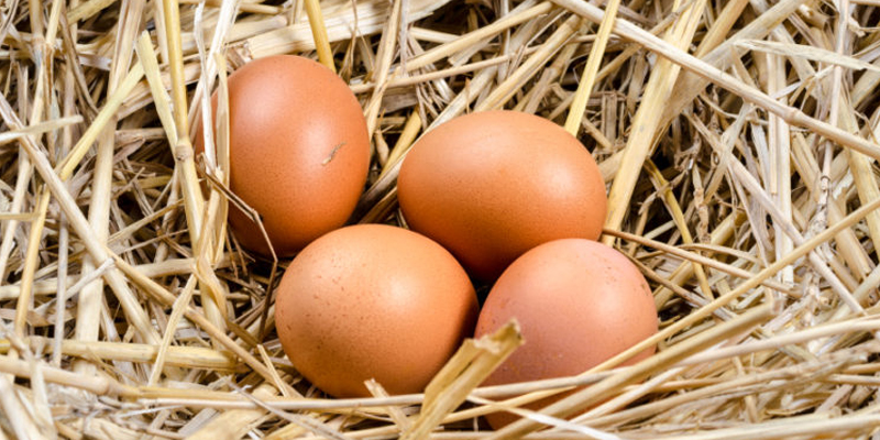 1 tuần mẹ chỉ nên dùng 2 - 3 quả trứng.