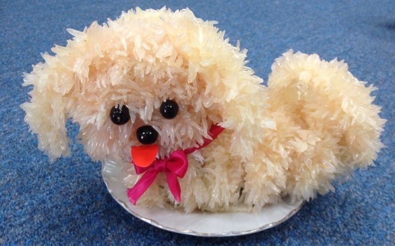 Dog made from pomelo