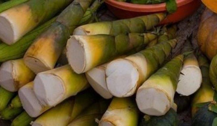Sai lầm cần tránh khi ăn măng để không bị ngộ độc